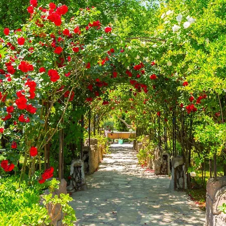 Ayla Paradise Βίλα