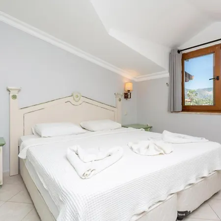 Ayla Paradise فيلة *