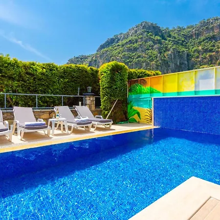 Ayla Paradise فيلة داليان